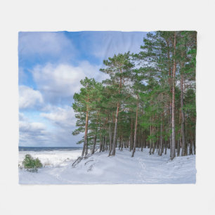 Gräs-skogen nära havsområdet kusten i Lettland Fleecefilt