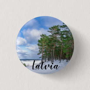 Gräs-skogen nära havsområdet kusten i Lettland Knapp