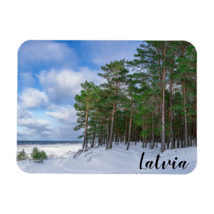 Gräs-skogen nära havsområdet kusten i Lettland Magnet