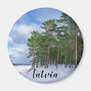 Gräs-skogen nära havsområdet kusten i Lettland Magnet