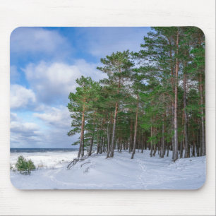 Gräs-skogen nära havsområdet kusten i Lettland Musmatta