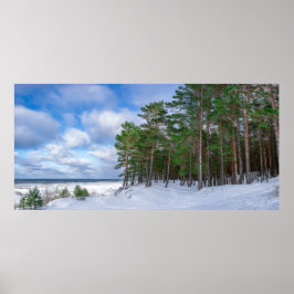 Gräs-skogen nära havsområdet kusten i Lettland Poster