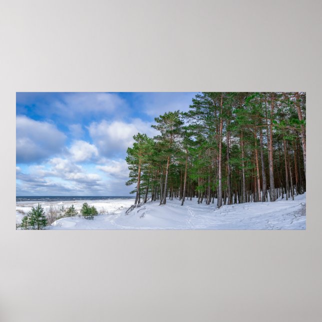 Gräs-skogen nära havsområdet kusten i Lettland Poster (Framsidan)