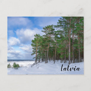 Gräs-skogen nära havsområdet kusten i Lettland Vykort