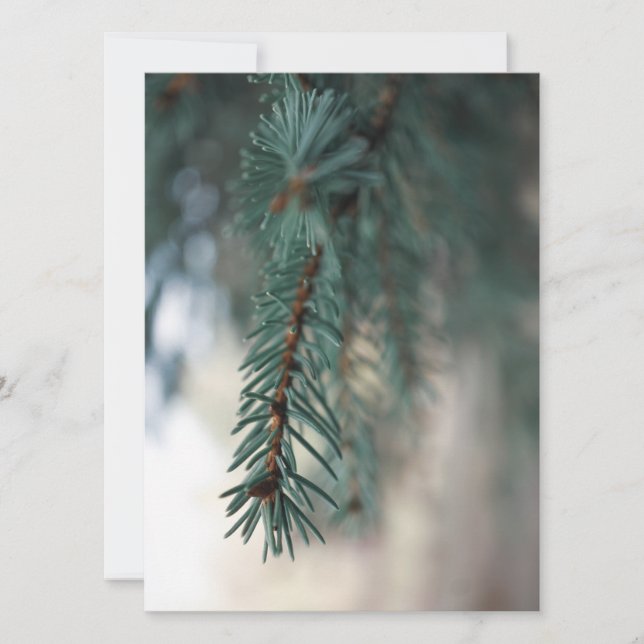 Gräs Träd (Framsida)