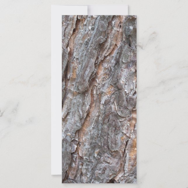 gräs träd bark (Framsida)