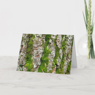 Gräs Träd Bark med Moss Kort