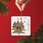 Gräs Träd Forest Anpassningsbar Pet Photo & Namn P Julgransprydnad Keramik<br><div class="desc">Modern helgdag för husfoto-ornament. Vår design har en roligt gräs träd-skogsform som du kan använda för att lägga till ett foto av husdjur. Guld tass avtryck läggs till,  förutom ditt husdjurs namn. Design efter moodthologipapper</div>
