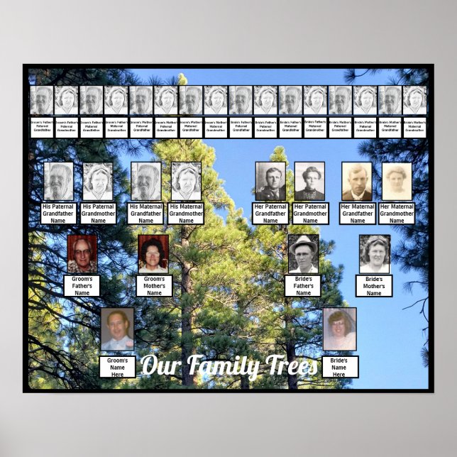 Gräs Träd Forest Photo Two Family Träd Poster (Framsidan)