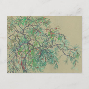 Gräs-Träd Gren, Blommigt Art Grönten norra Botany Vykort