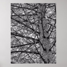 Gräs Träd Grenar i Svarta havet och Vita Poster