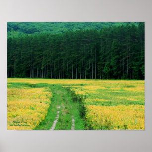 Gräs Träd Gula blommor Fält naturen Poster