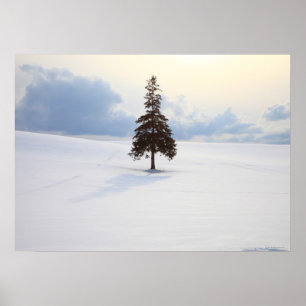 Gräs träd, Hokkaido Poster