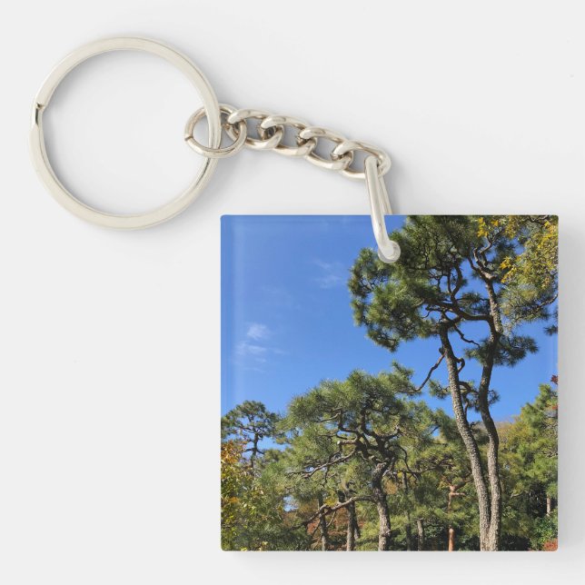 Gräs Träd i Himlar höst (Framsidan)
