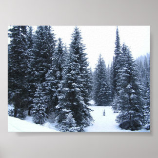 Gräs Träd i Winter Poster