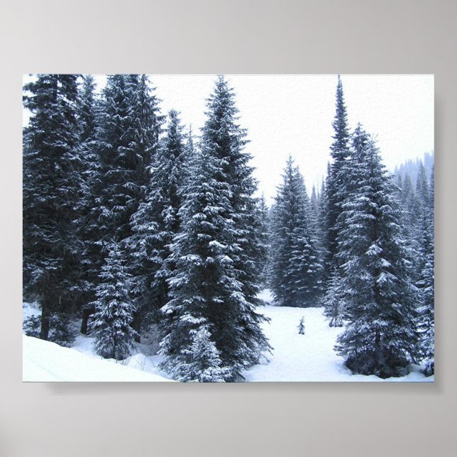 Gräs Träd i Winter Poster (Framsidan)