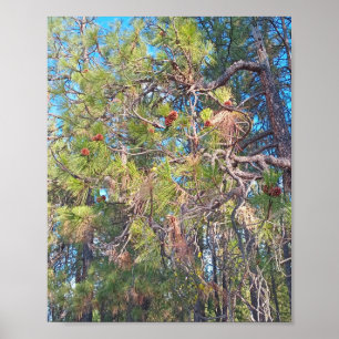 Gräs träd med gräs-kuber poster