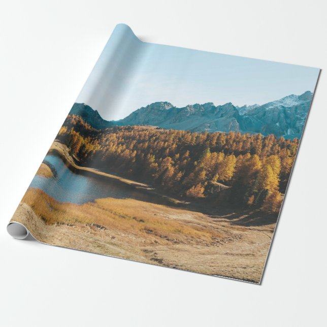 GRÄS TRÄD nära SJÖ Presentpapper (Utrullad)