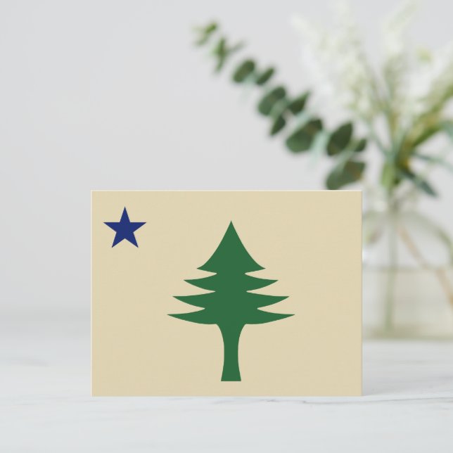 Gräs träd och Maine-statens stjärna 1901 flagga Vykort (Stående Fram)