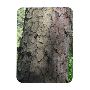 Gräs Träd, Palanga Botanical Garden, LITAUEN - Magnet