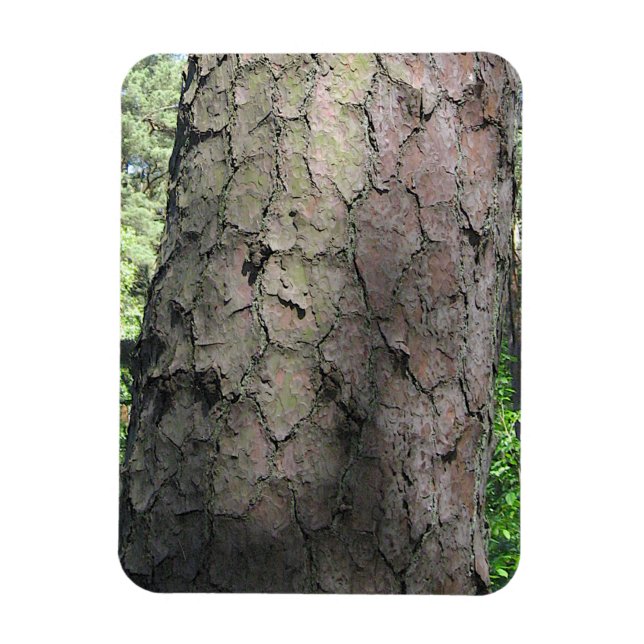 Gräs Träd, Palanga Botanical Garden, LITAUEN - Magnet (Vertikal)