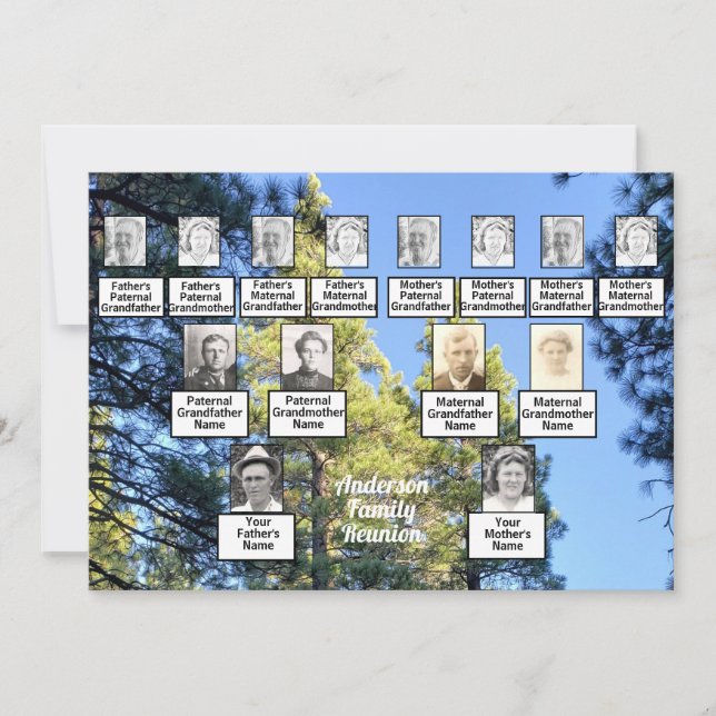 Gräs Träd-skogfoto 3 Generation familjeåterförenin Inbjudningar (Framsida)
