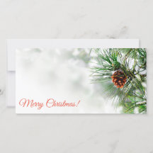 Gräs träd täckt med snö