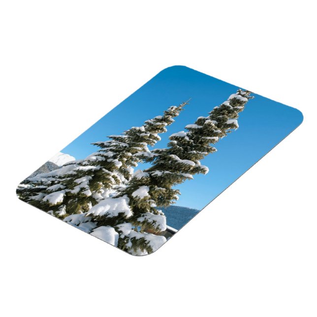 Gräs träd under Snö Magnet (Vänstra Sidan)