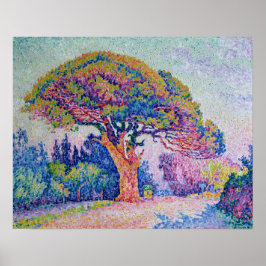 Gräs Träd vid St. Tropez, 1909 Poster