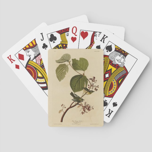 Gräs-träskare från Audubon-fåglar Casinokort (Baksidan)