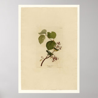 Gräs-träskvarnare Poster