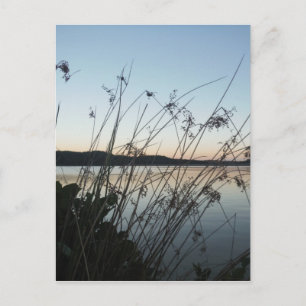 Gräs vid sjö Sunset Vykort