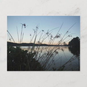 Gräs vid sjö Sunset Vykort