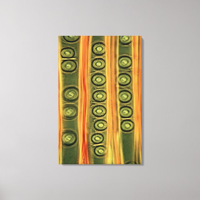 Gräs Wood Canvastryck (Framsida)