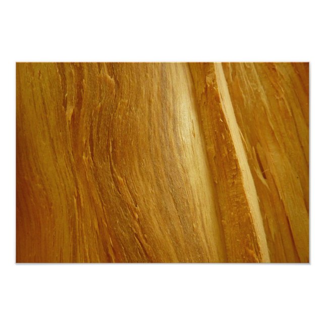 Gräs Wood II Faux Wooden Struktur Fototryck (Framsidan)