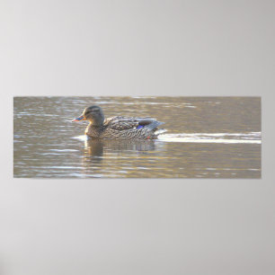 Gräsand Fotoaffisch Poster