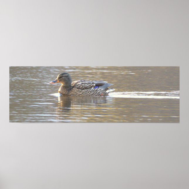Gräsand Fotoaffisch Poster (Framsidan)