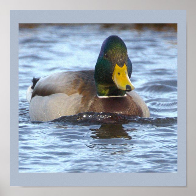 Gräsand Fotoaffisch Poster (Framsidan)