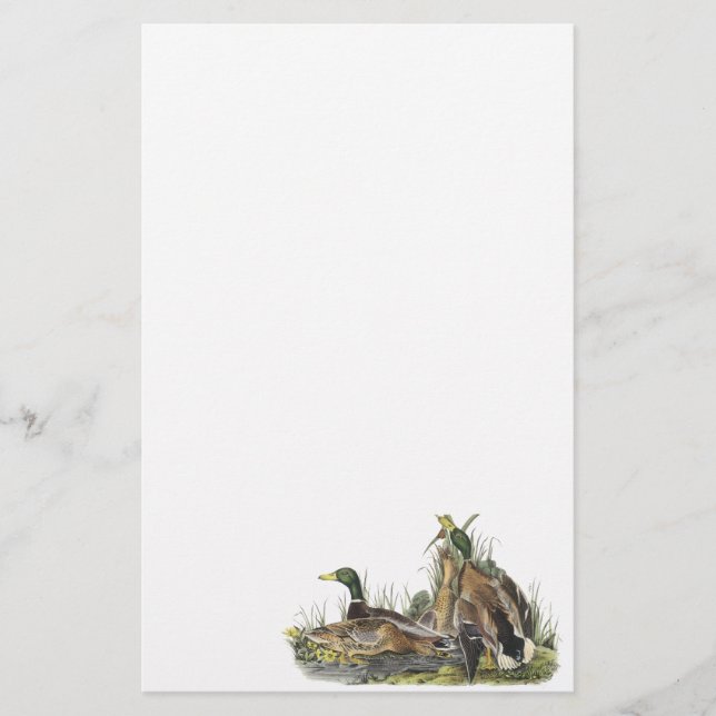 Gräsand John Audubon Brevpapper (Framsida)