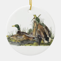 Gräsand John Audubon