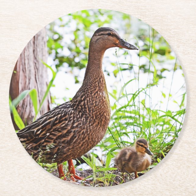 Gräsand och Ducklings av Shirley Taylor Underlägg Papper Rund (Framsidan)