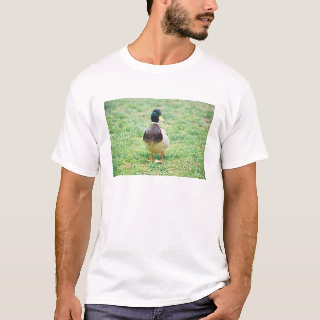 Gräsand och kanin tee shirt (Framsida)