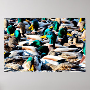 Gräsand Poster