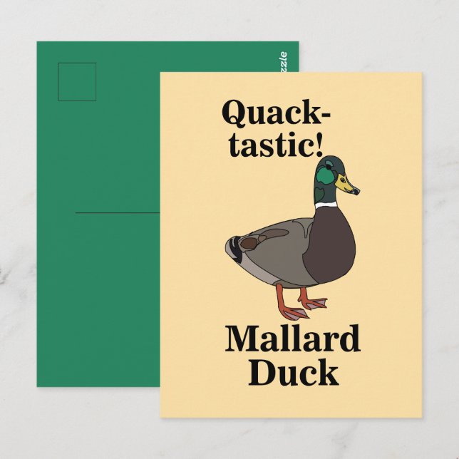 Gräsand Quack-Tastisk Anka  Vykort (Fram/baksida)