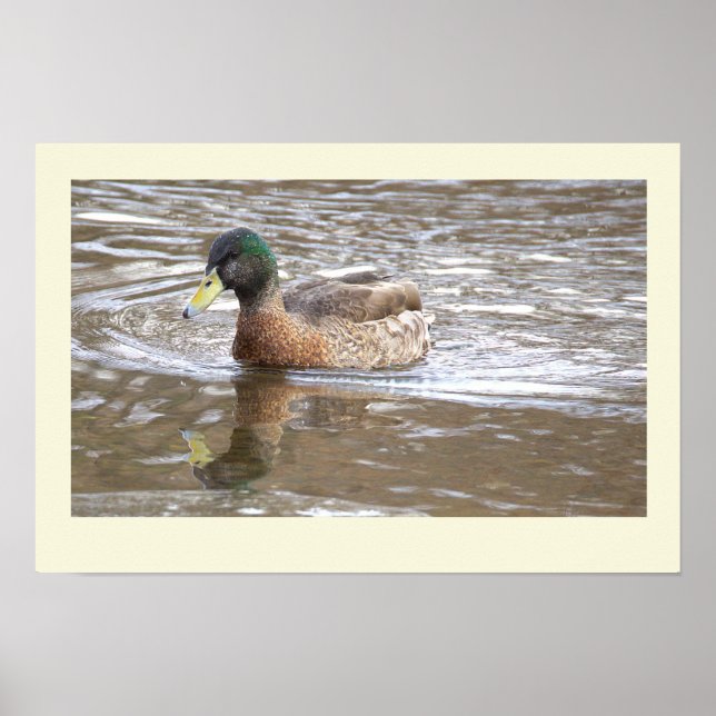 Gräsand Reflexion Foto Affisch (Framsidan)