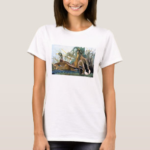 Gräsandanka Tee