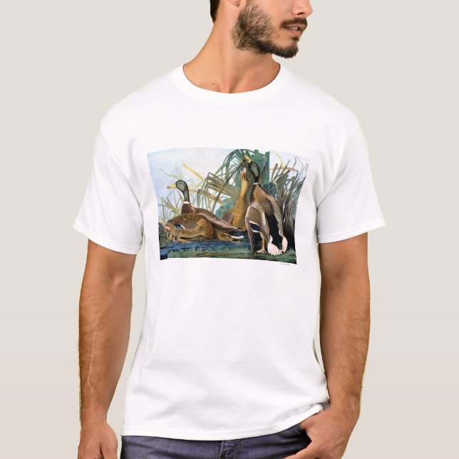 Gräsandanka Tee Shirt (Framsida)