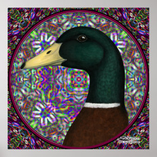Gräsanddrakemosaiken cirklar poster