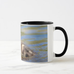 GräsandDuckling Mugg