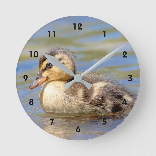 GräsandDuckling Rund Klocka (Framsida)
